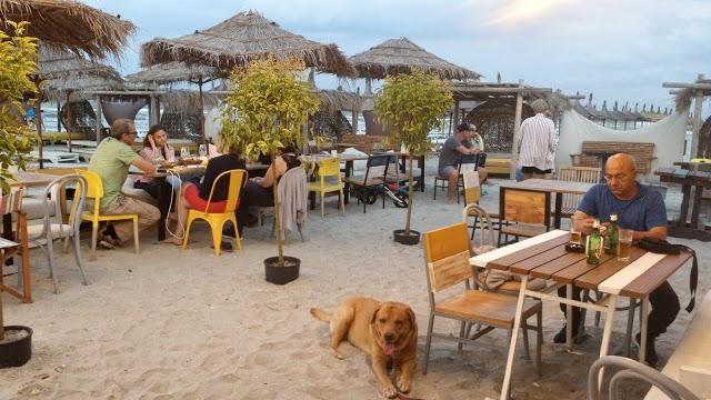 Makerel Mamaia